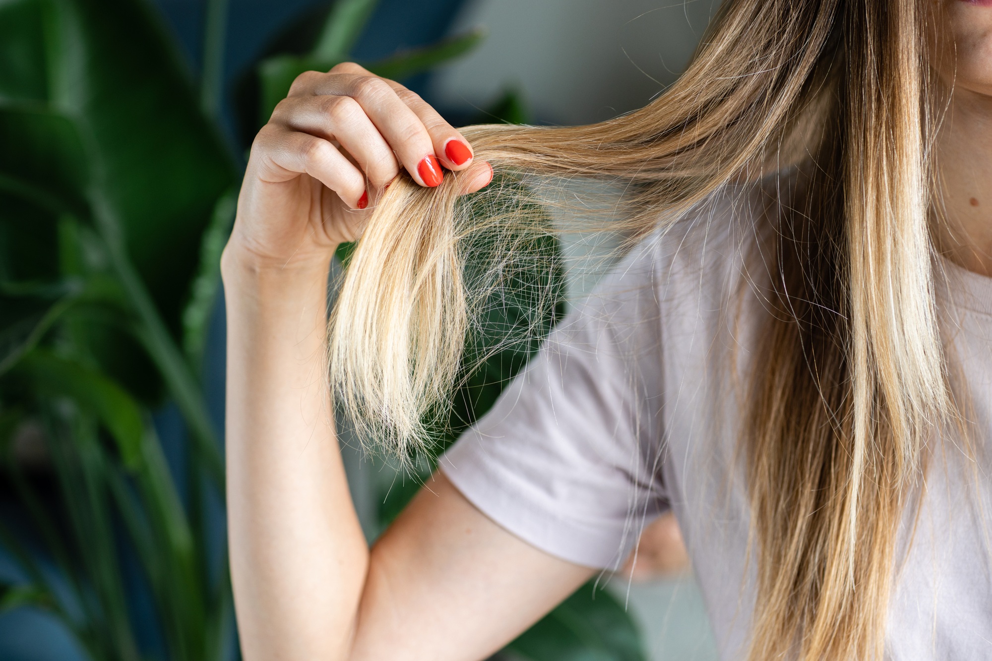 Portrait of stressed young blonde balding woman looking at unhealthy hair, checking dandruff, upset